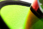 Exalt Carbon Case Universal Spare Lens Case - New Breed Paintball & Airsoft - Exalt Carbon Case Universal Spare Lens Case - Exalt